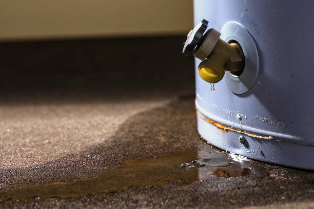 Best Residential water damage restoration  in Toluca, IL