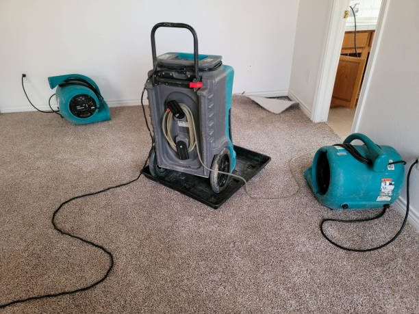  Toluca, IL Water damage restoration Pros