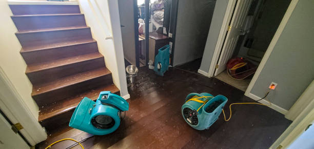 Best Water damage mitigation services  in Toluca, IL