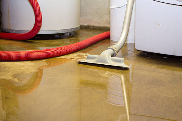 Best Flooded house restoration  in Toluca, IL
