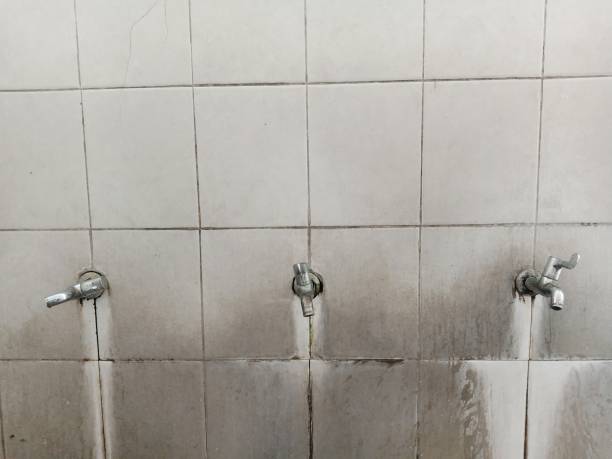 Best Flood damage cleanup  in Toluca, IL