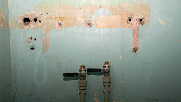 Best 24-hour water damage restoration  in Toluca, IL