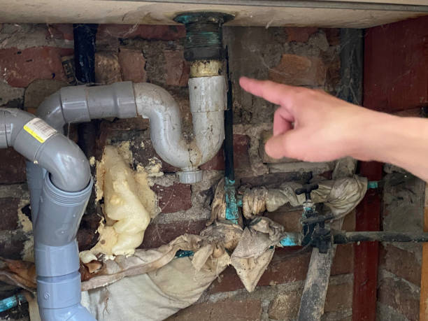 Best Mold removal after water damage  in Toluca, IL